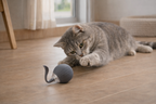 CATIQ - Smart Play Ball